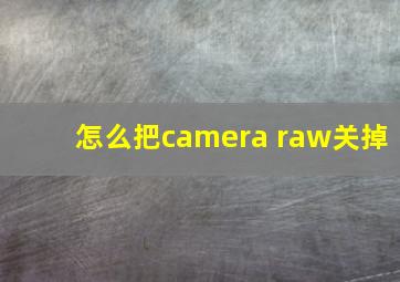 怎么把camera raw关掉